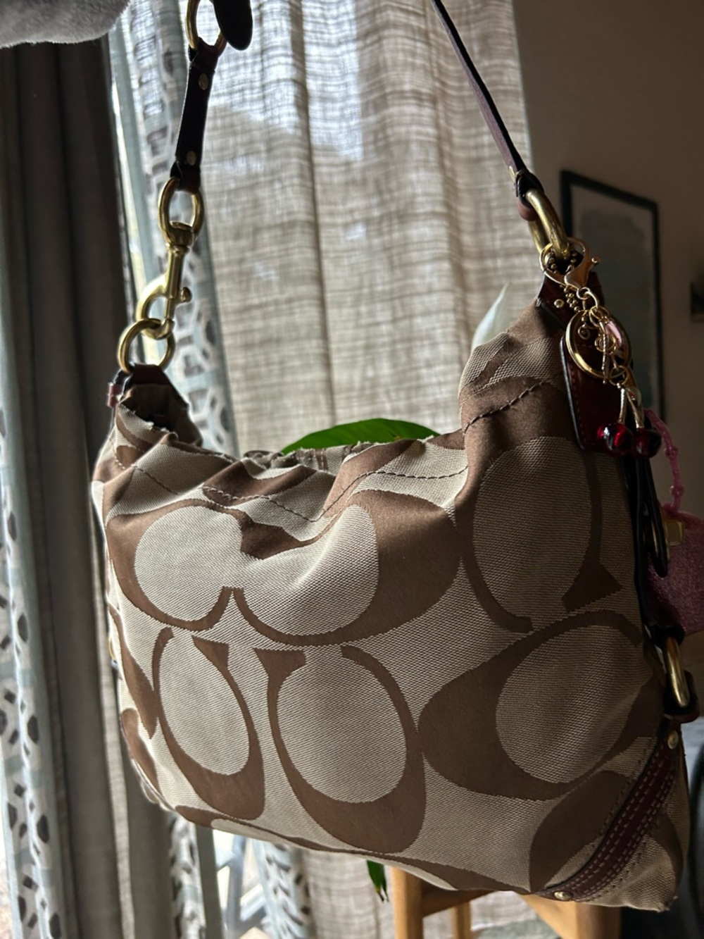 Coach Carly Hobo Bag